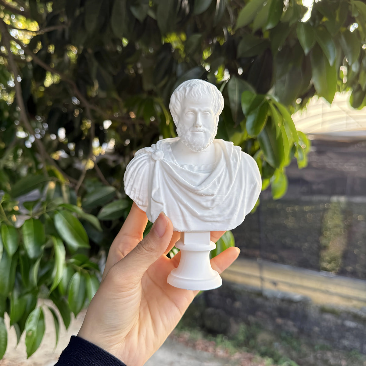 Busto Aristóteles 10 cm